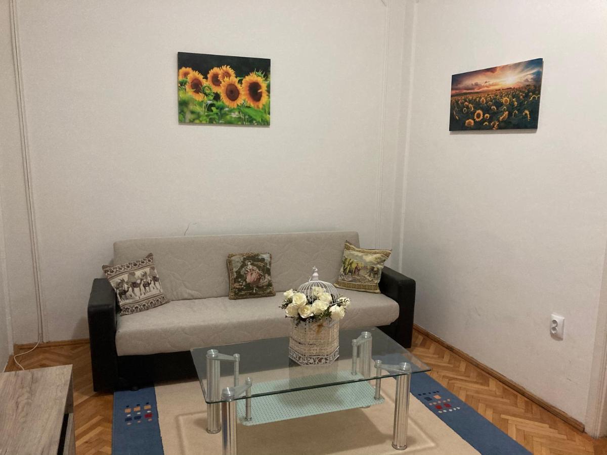 Irina Apartments Питещ Екстериор снимка